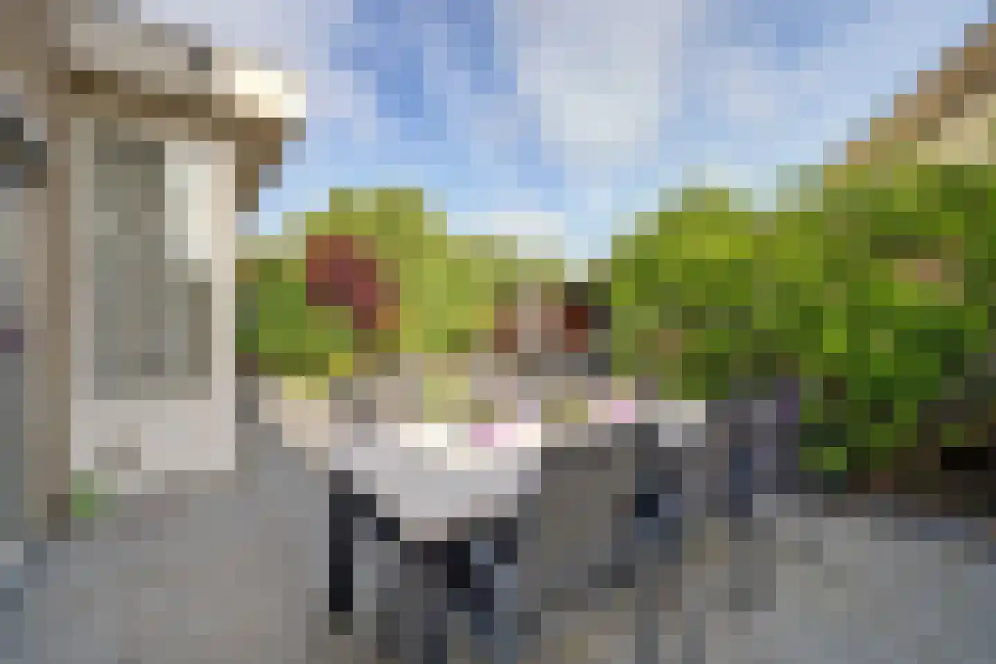 Wilhelmina Hofman-Pootstraat 56 Spijkenisse thumbnail 52