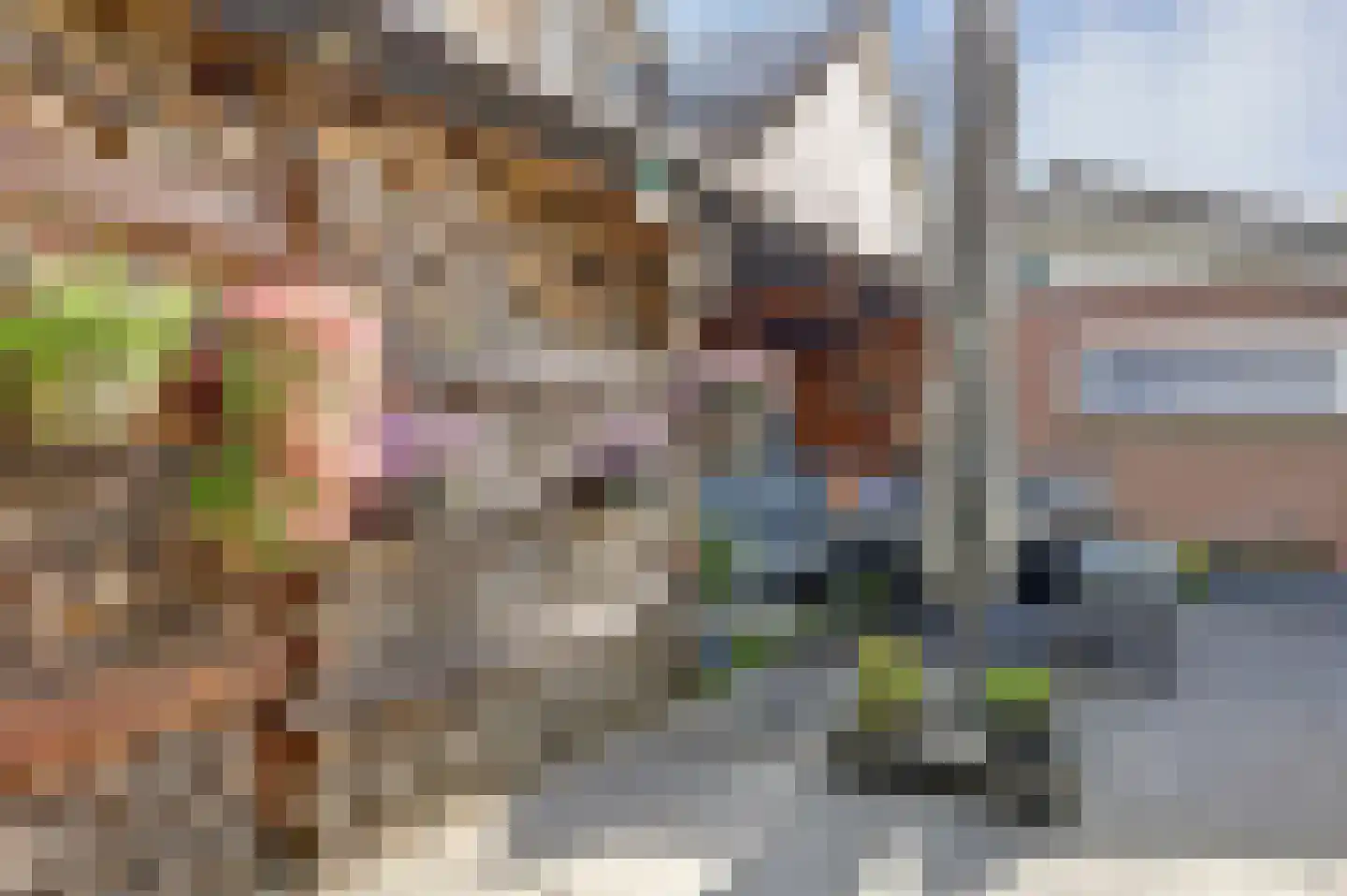 Wilhelmina Hofman-Pootstraat 56 Spijkenisse thumbnail 56