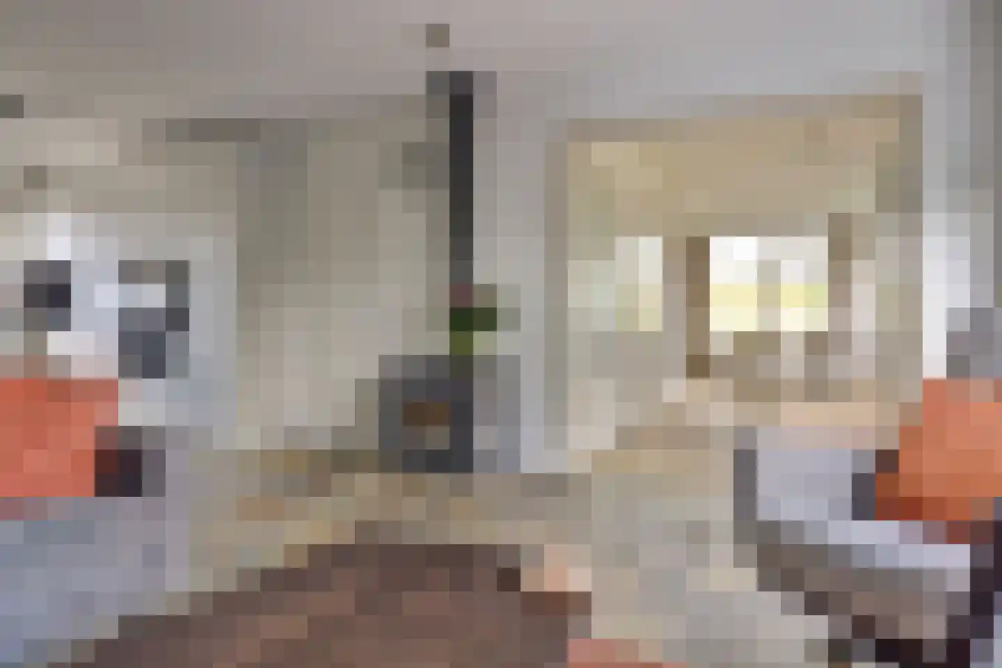 Wilhelmina Hofman-Pootstraat 56 Spijkenisse thumbnail 8