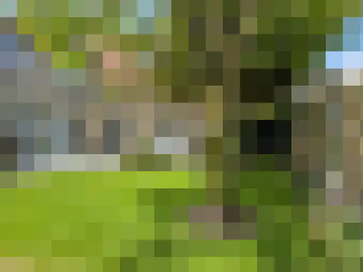Wilhelmina Nijhoffstraat 1 Coevorden thumbnail 11