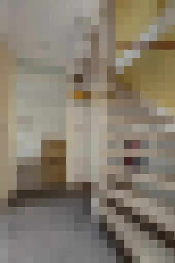 Wilhelmina Sangersstraat 67 Venray thumbnail 6