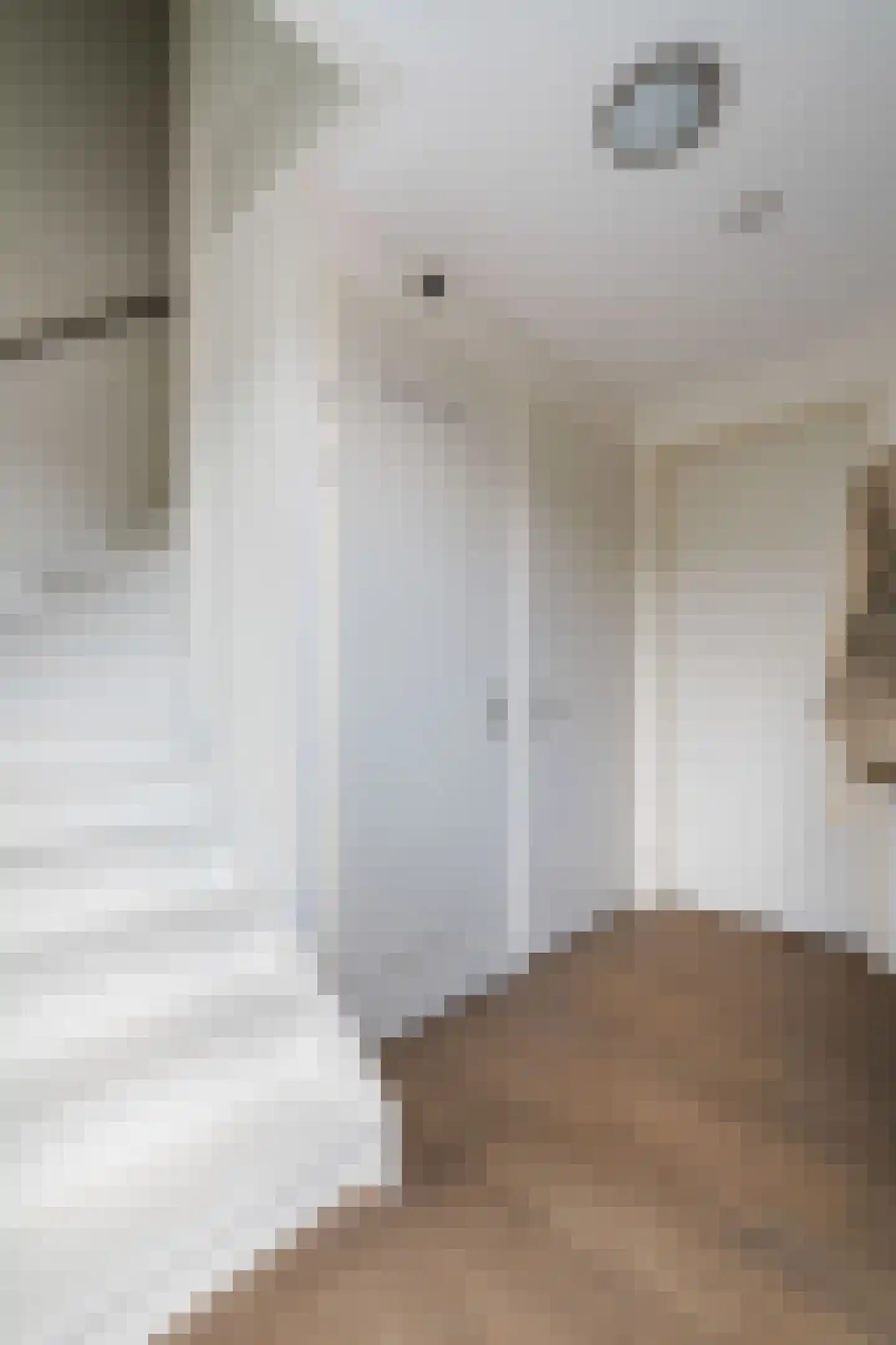 Wilhelmina Smitstraat 38 Weert thumbnail 10