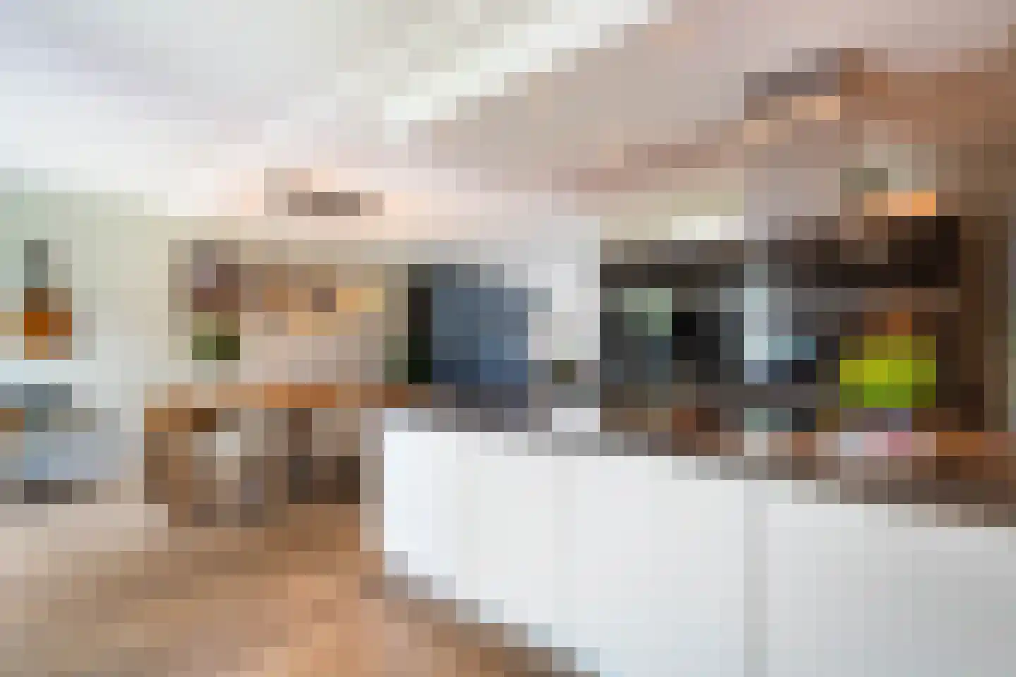 Wilhelmina Smitstraat 38 Weert thumbnail 19