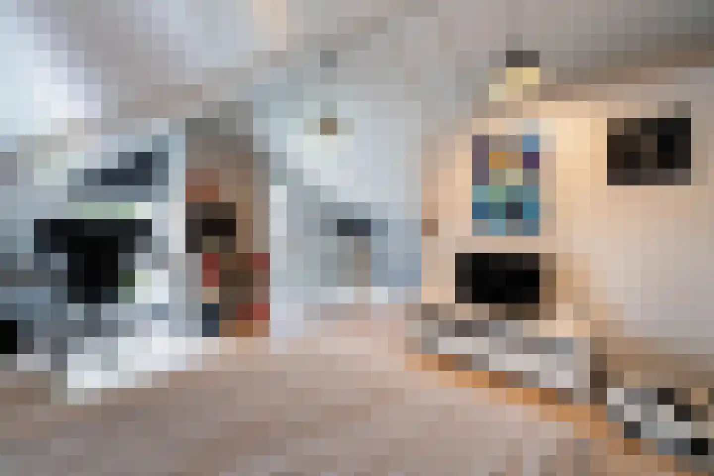 Wilhelmina Smitstraat 38 Weert thumbnail 38
