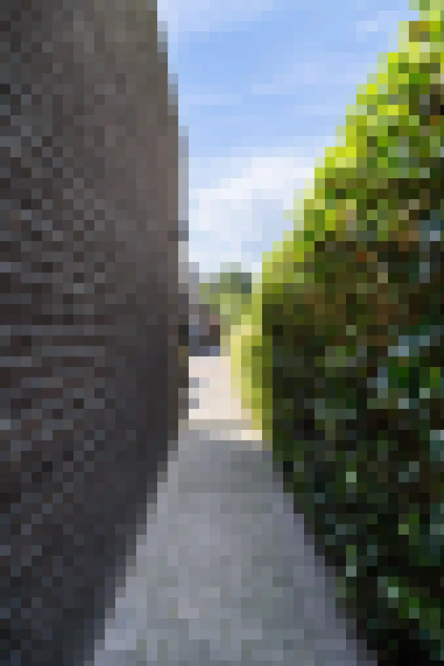 Wilhelmina Smitstraat 38 Weert thumbnail 52