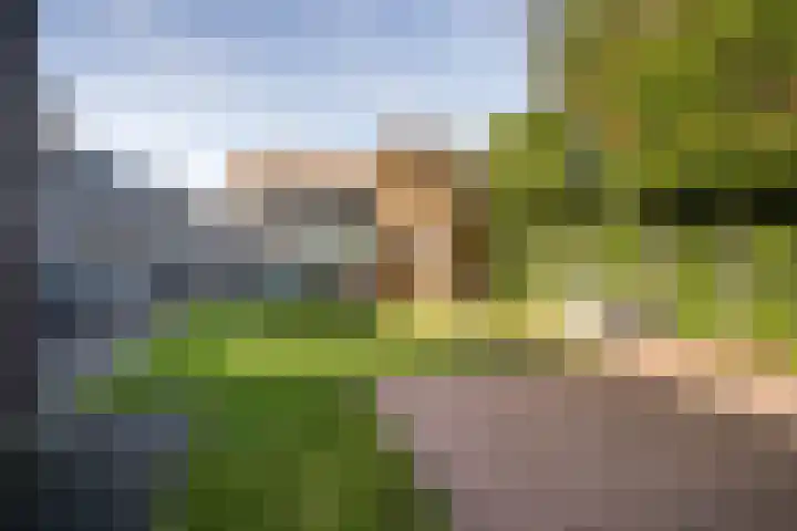 Wilhelmina Smitstraat 7 Weert thumbnail 35