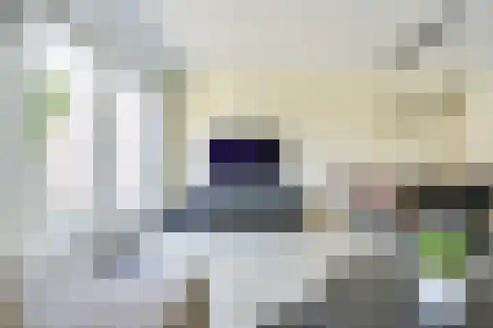 Wilhelmina van Haeftendreef 16 Vianen thumbnail 16