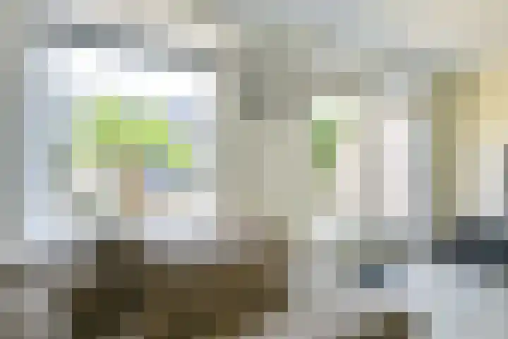Wilhelmina van Haeftendreef 16 Vianen thumbnail 17