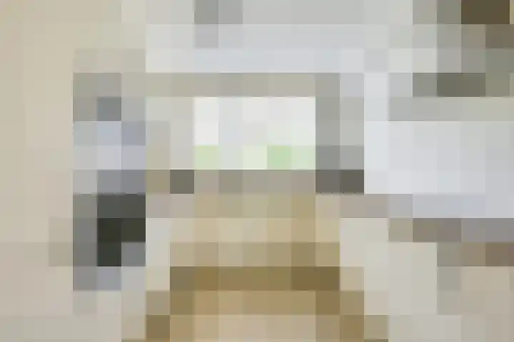 Wilhelmina van Haeftendreef 16 Vianen thumbnail 18