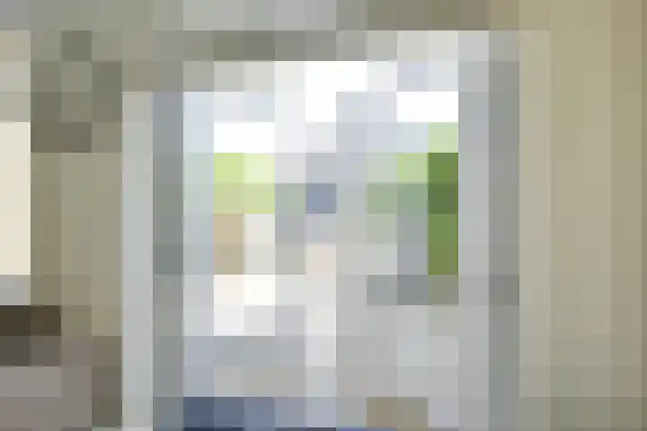 Wilhelmina van Haeftendreef 16 Vianen thumbnail 26