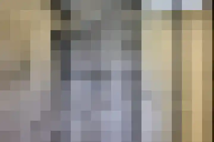 Wilhelmina van Haeftendreef 16 Vianen thumbnail 31