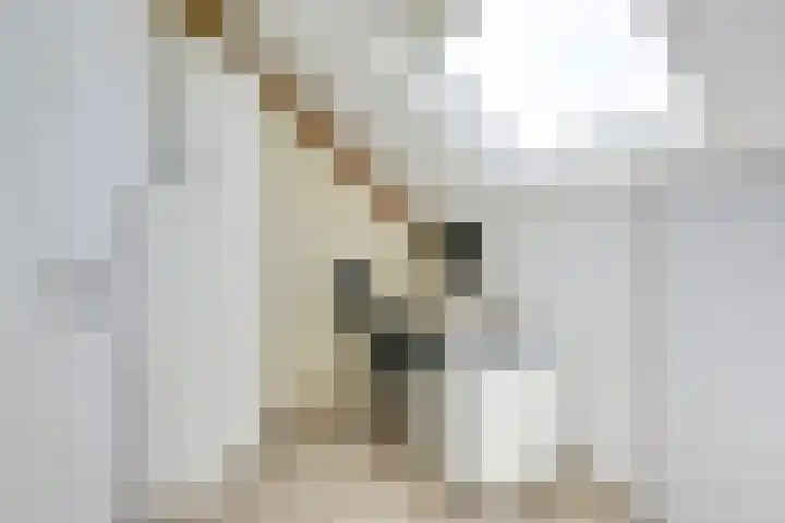 Wilhelmina van Haeftendreef 16 Vianen thumbnail 45