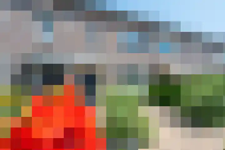 Wilhelmina van Haeftendreef 16 Vianen thumbnail 55