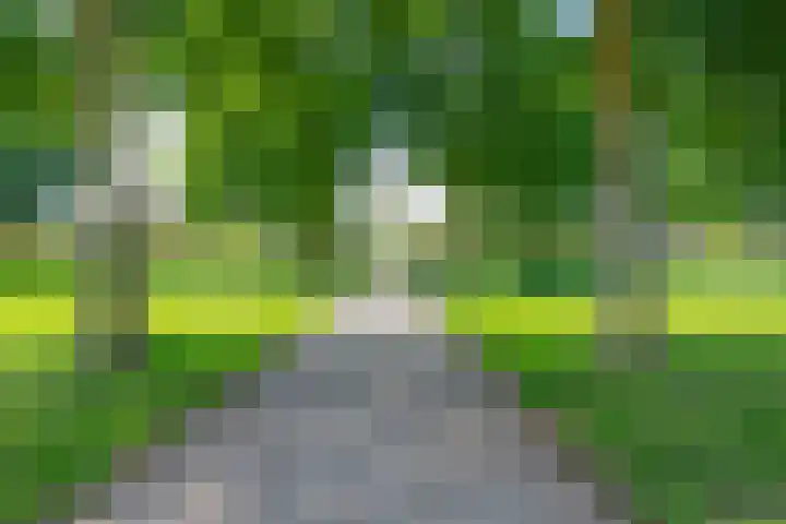 Wilhelmina van Haeftendreef 16 Vianen thumbnail 66