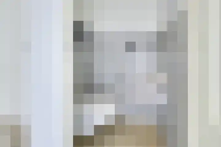 Wilhelmina van Haeftendreef 16 Vianen thumbnail 7