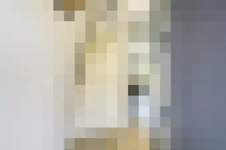 Wilhelmina van Haeftendreef 16 Vianen thumbnail 8