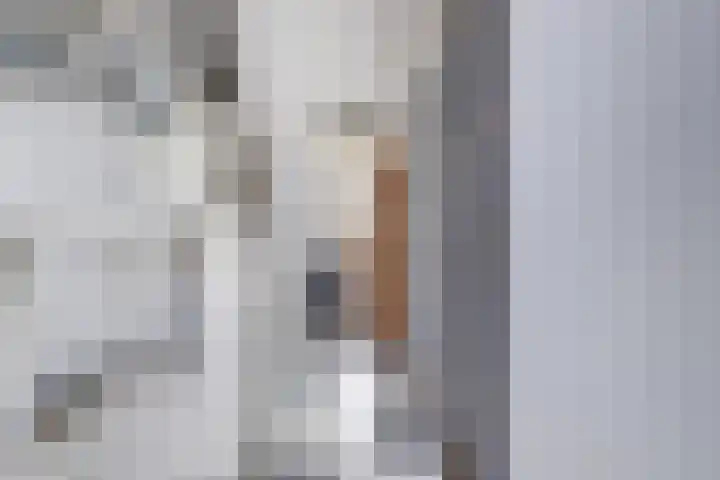 Wilhelmina van Pruisenlaan 105 Gouda thumbnail 12