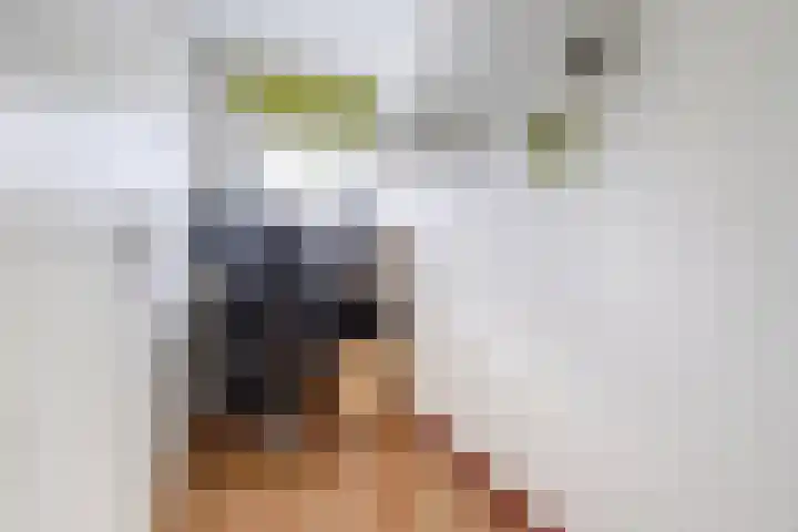 Wilhelmina van Pruisenlaan 105 Gouda thumbnail 21