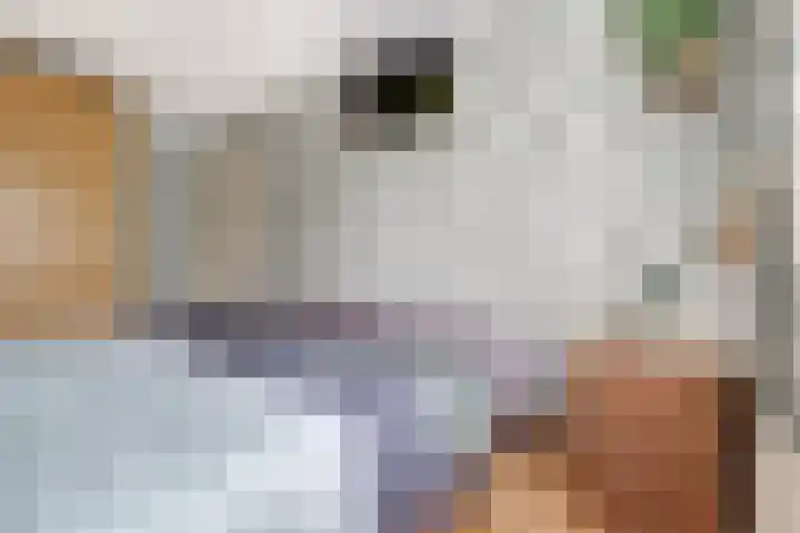 Wilhelmina van Pruisenlaan 105 Gouda thumbnail 25