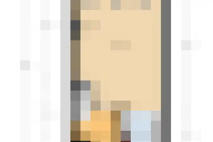 Wilhelmina van Pruisenlaan 105 Gouda thumbnail 37