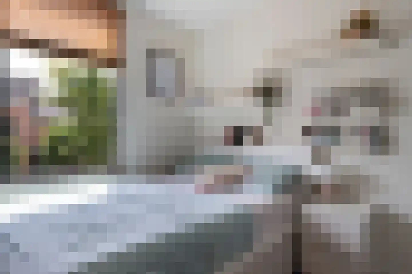 Wilhelmina van Pruisenlaan 124 Gouda thumbnail 30