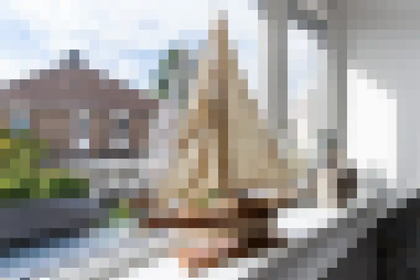 Wilhelmina van Pruisenlaan 133 Gouda thumbnail 35
