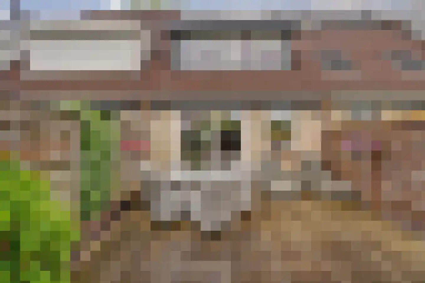 Wilhelmina van Pruisenlaan 133 Gouda thumbnail 5