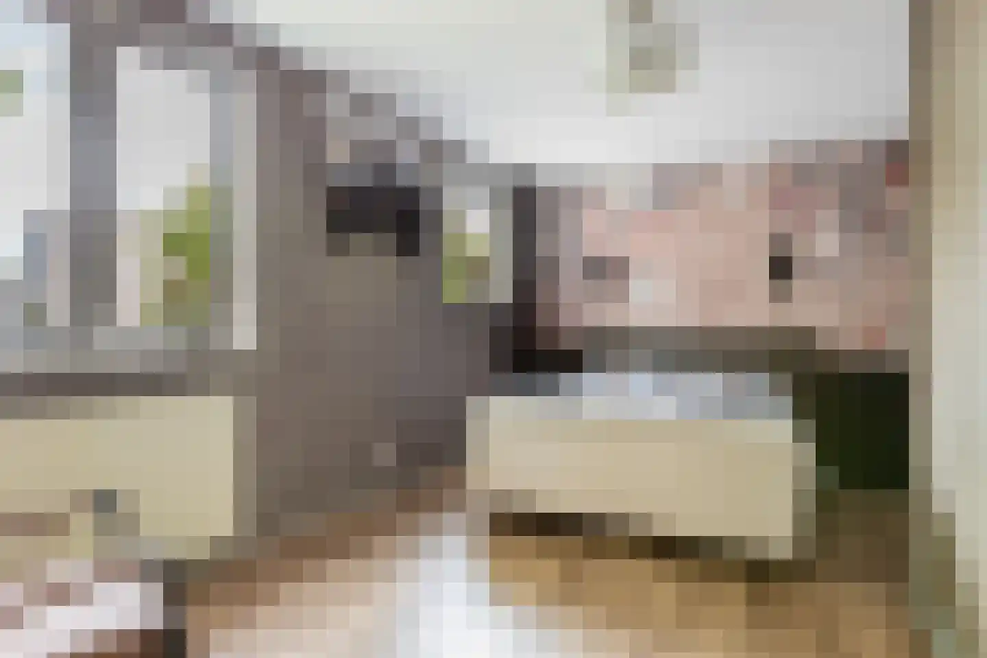 Wilhelmina van Pruisenlaan 133 Gouda thumbnail 9