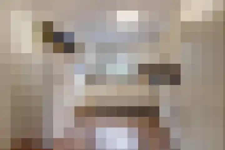 Wilhelmina van Pruisenlaan 226 Gouda thumbnail 11