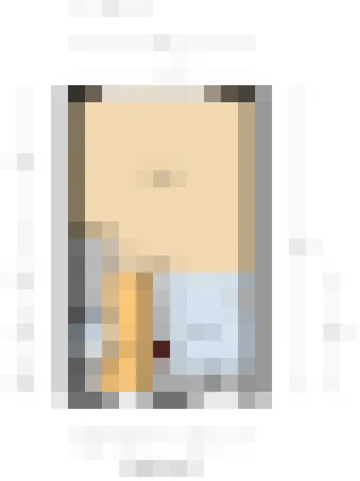 Wilhelmina van Pruisenlaan 226 Gouda thumbnail 13
