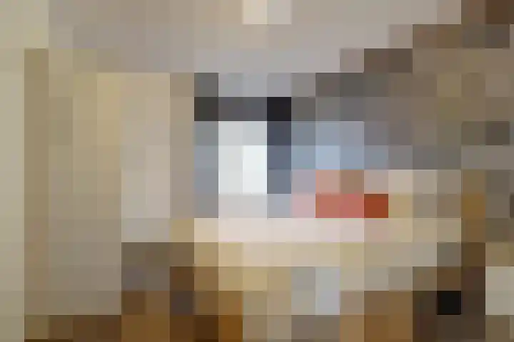 Wilhelmina van Pruisenlaan 226 Gouda thumbnail 15
