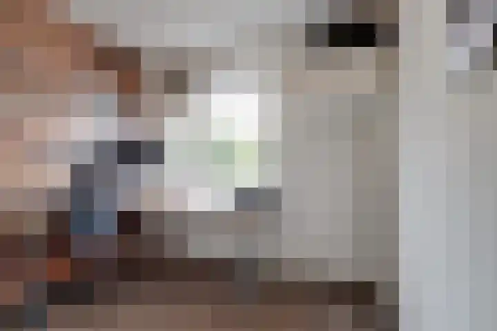 Wilhelmina van Pruisenlaan 226 Gouda thumbnail 18