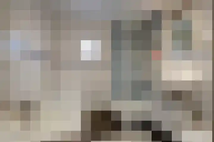 Wilhelmina van Pruisenlaan 226 Gouda thumbnail 22