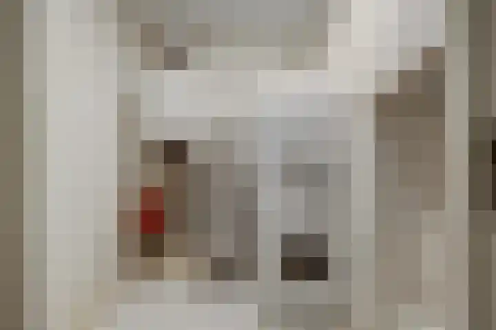Wilhelmina van Pruisenlaan 226 Gouda thumbnail 23