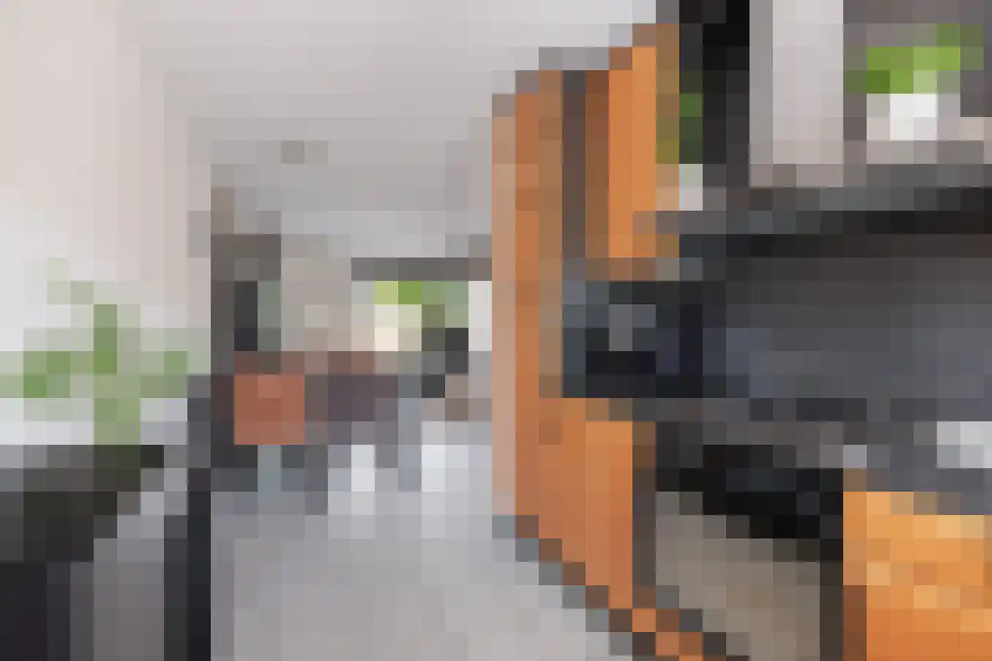 Wilhelmina van Pruisenlaan 243 Gouda thumbnail 18