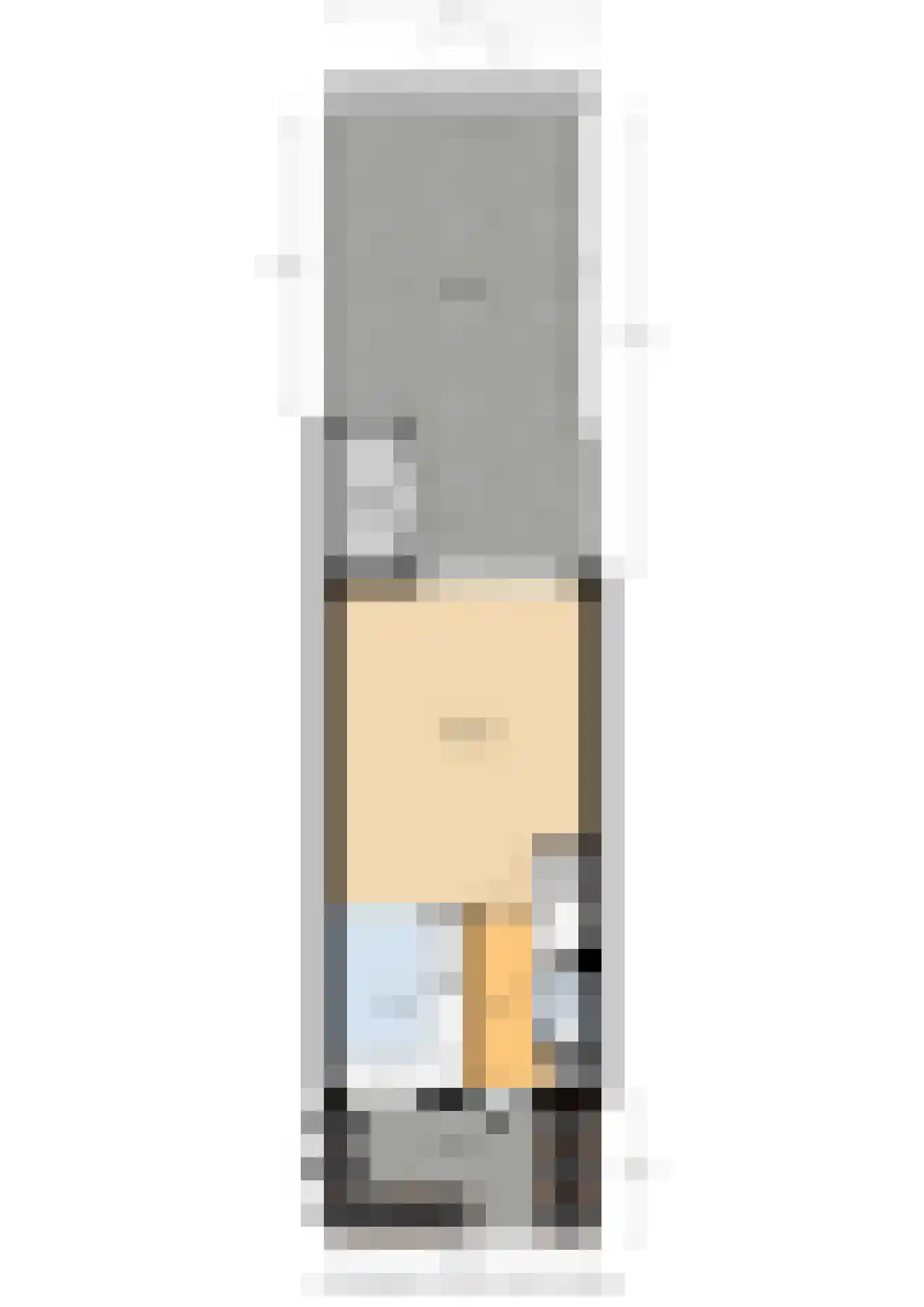 Wilhelmina van Pruisenlaan 243 Gouda thumbnail 34