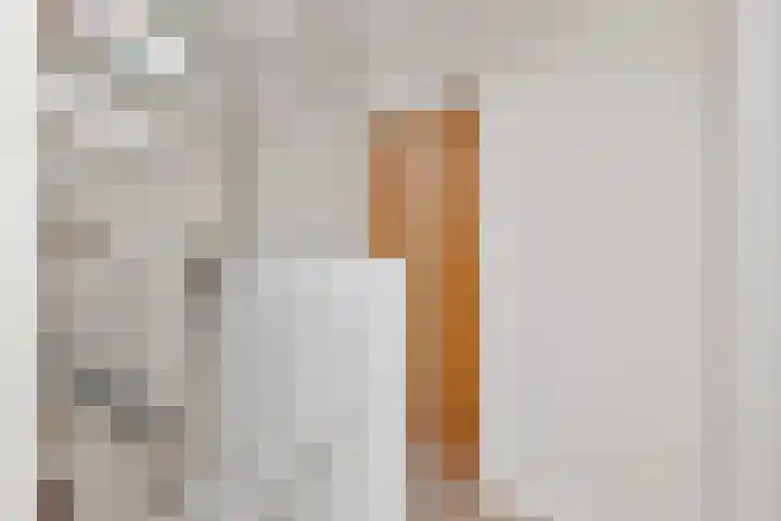 Wilhelmina van Pruisenlaan 256 Gouda thumbnail 18