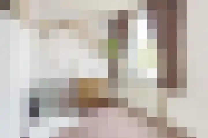 Wilhelmina van Pruisenlaan 256 Gouda thumbnail 19