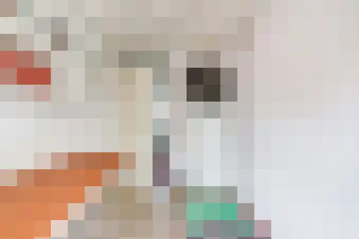 Wilhelmina van Pruisenlaan 256 Gouda thumbnail 21