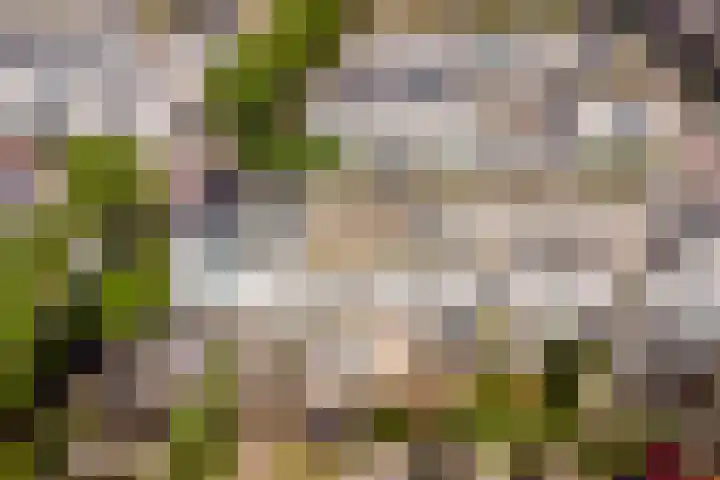 Wilhelmina van Pruisenlaan 256 Gouda thumbnail 30