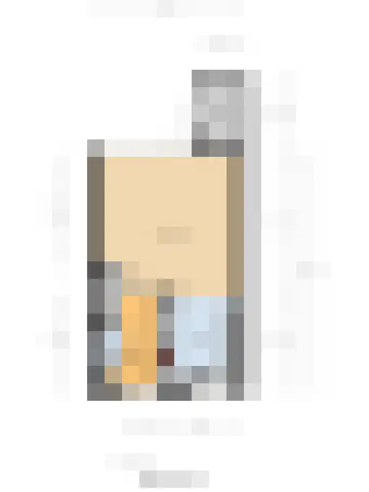 Wilhelmina van Pruisenlaan 256 Gouda thumbnail 32