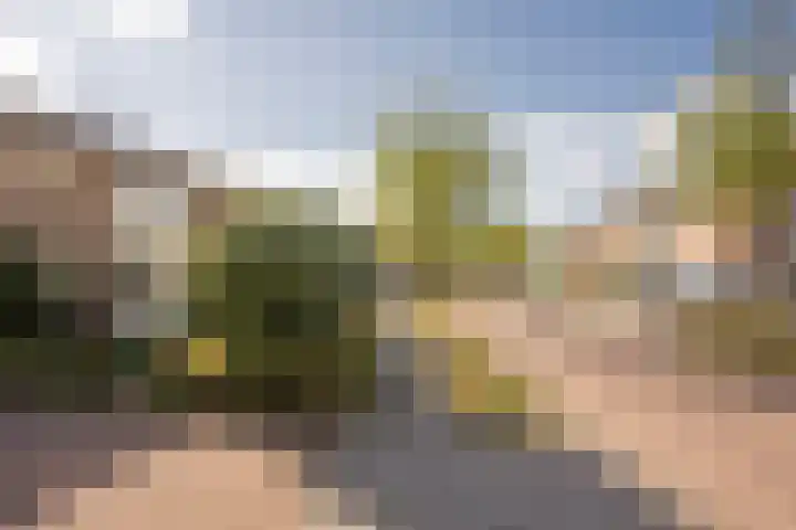 Wilhelmina van Pruisenlaan 256 Gouda thumbnail 8