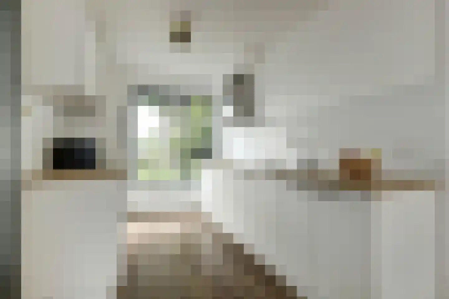 Wilhelmina van Pruisenlaan 267 Gouda thumbnail 11