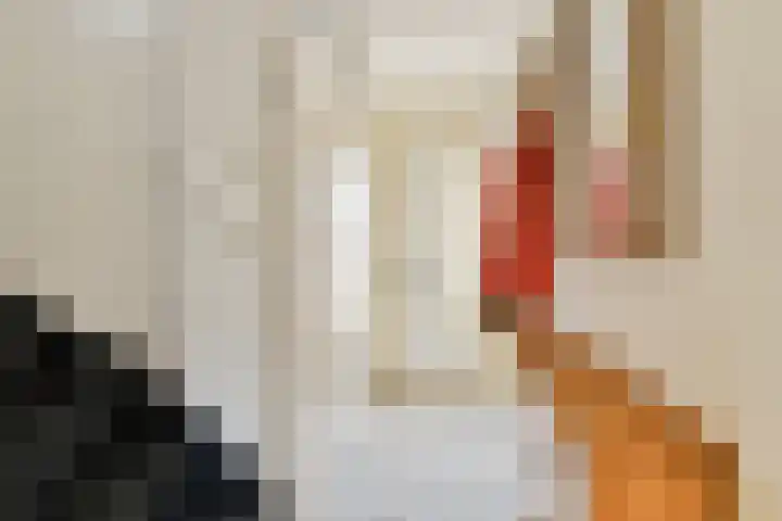Wilhelmina van Pruisenlaan 427 Gouda thumbnail 14