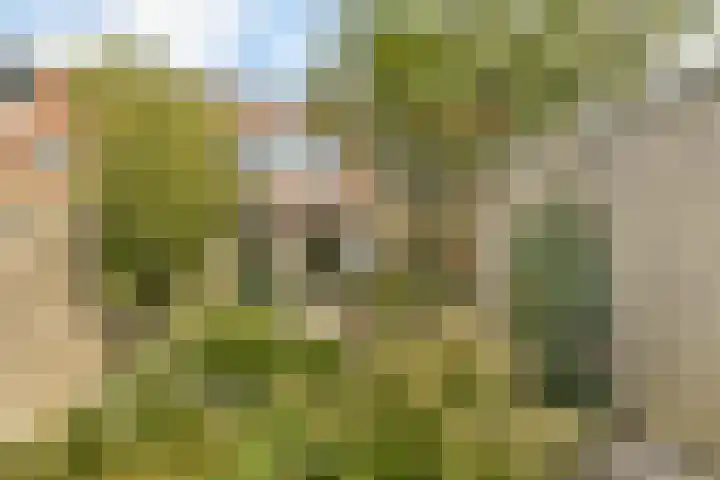 Wilhelmina van Pruisenlaan 427 Gouda thumbnail 4