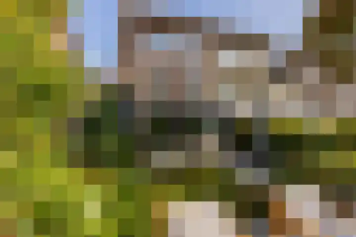 Wilhelmina van Pruisenlaan 64 in Gouda