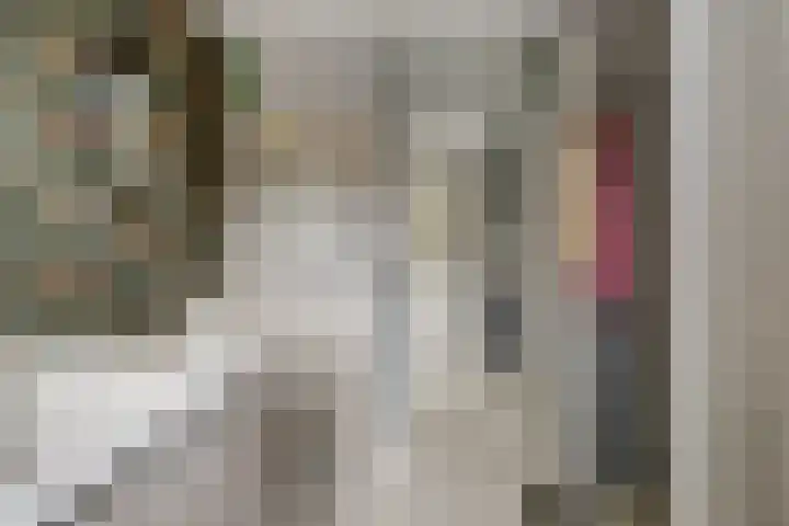 Wilhelmina van Pruisenlaan 98 Gouda thumbnail 23