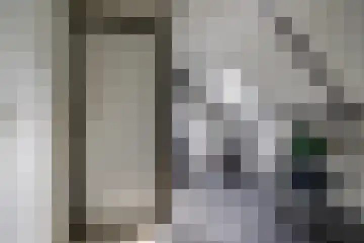Wilhelmina van Pruisenlaan 98 Gouda thumbnail 28