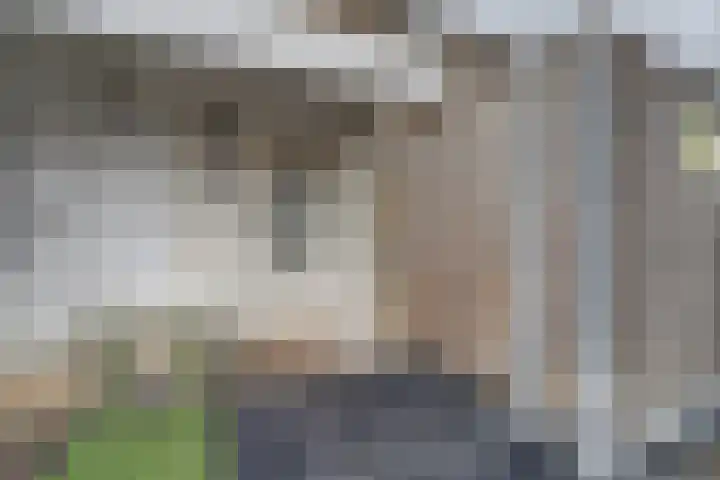 Wilhelmina van Pruisenlaan 98 Gouda thumbnail 5