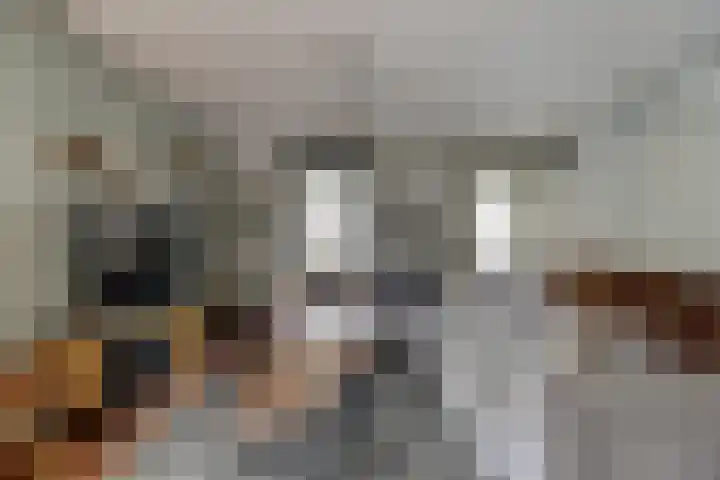 Wilhelmina van Pruisenlaan 98 Gouda thumbnail 7